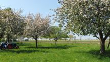 Erfassung von Streuobstwiesen im Kreis Paderborn 